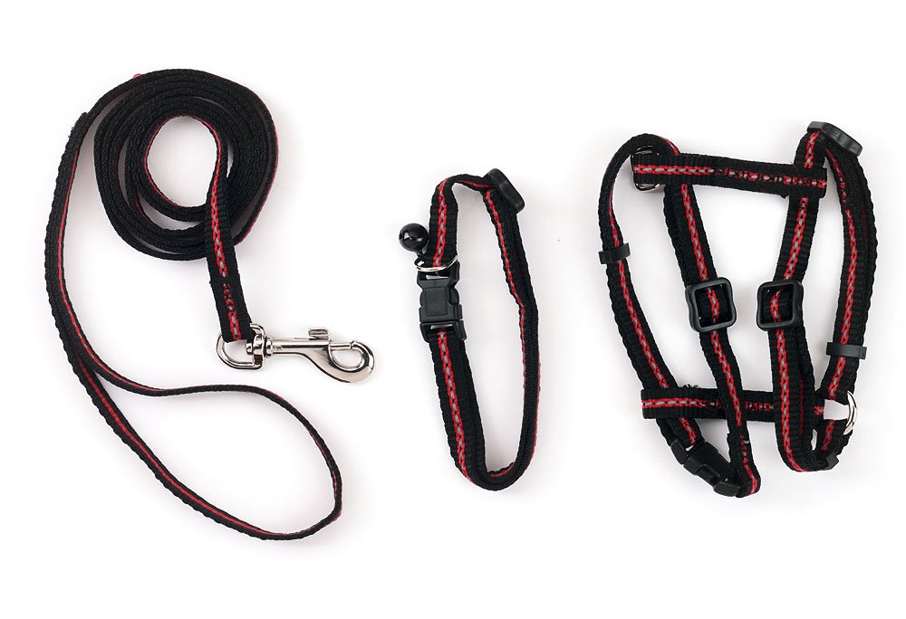 kerbl-pet-kit-pour-chat-harnais-laisse-120cm-collier-en-nylon image 3