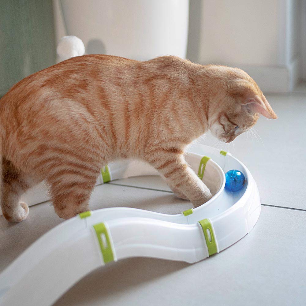 ferplast-labyrinth-circuit-jouet-interactif-pour-chat-72-x-40-cm-avec-balle-lumi image 4