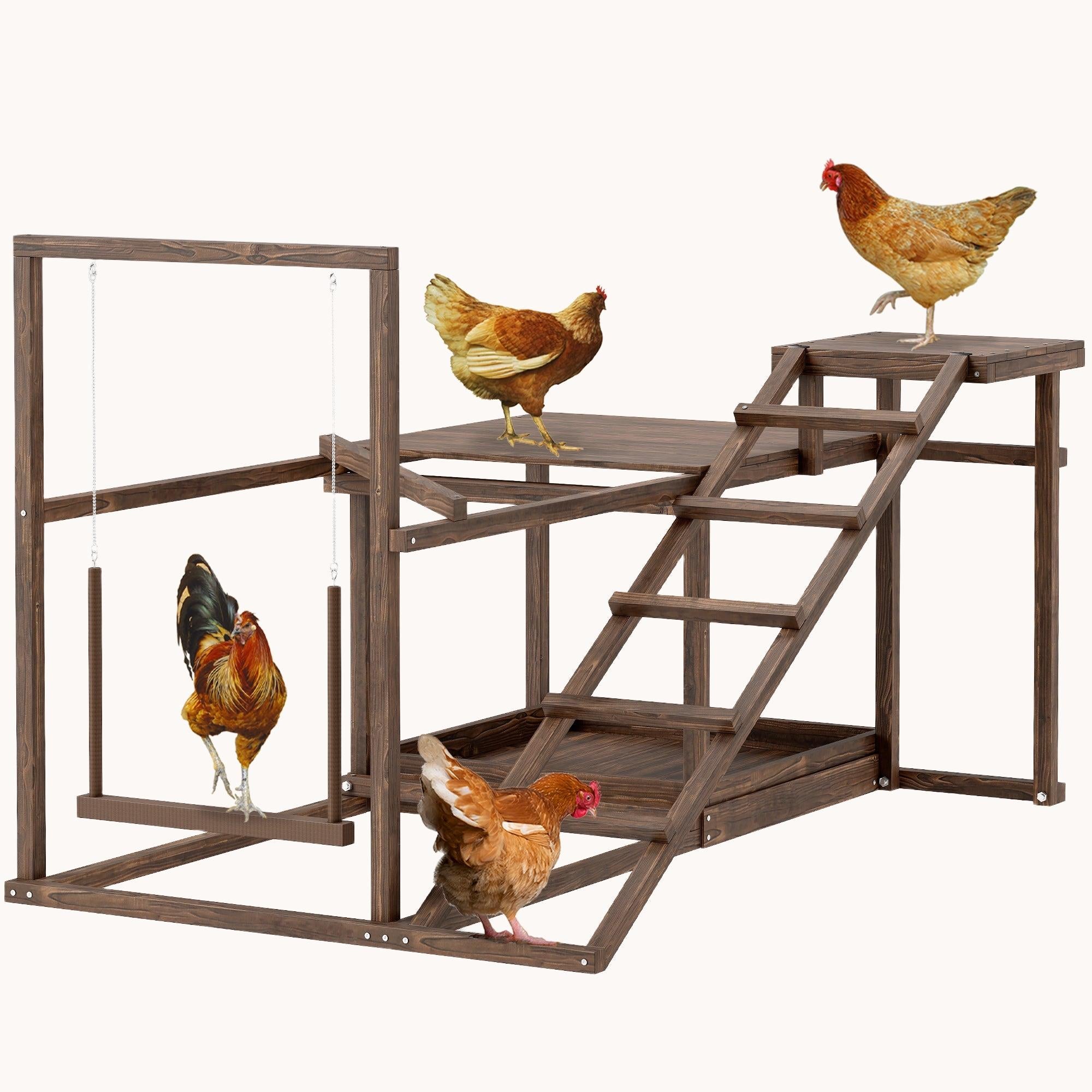 pawhut-aire-de-jeux-en-bois-pour-poules-caf-perchoir-balan-oire-chelle image 1