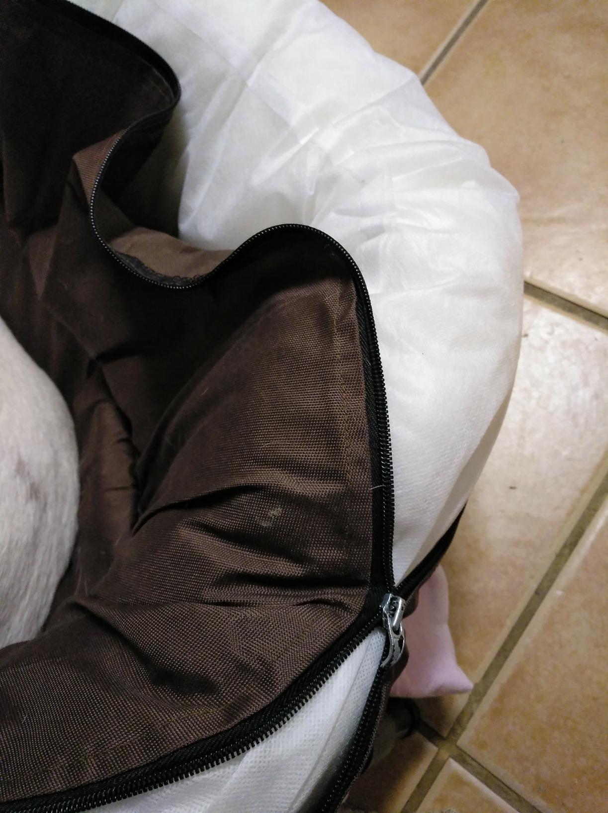 Mon chien ne le quitte plus