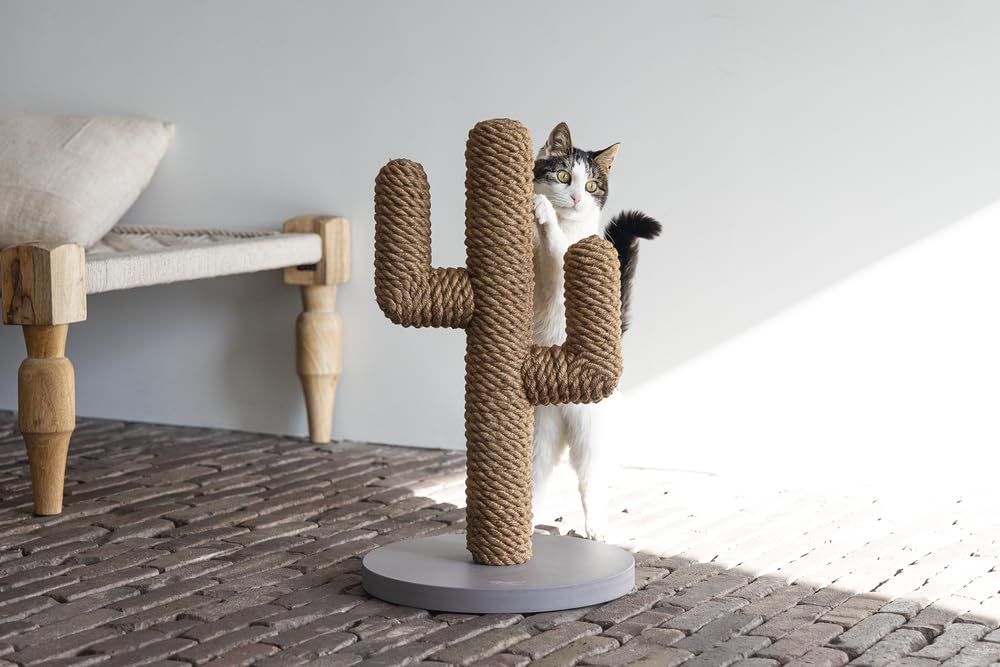karlie-designed-by-lotte-arbre-chat-cactus-sisal-et-bois-naturel image 4