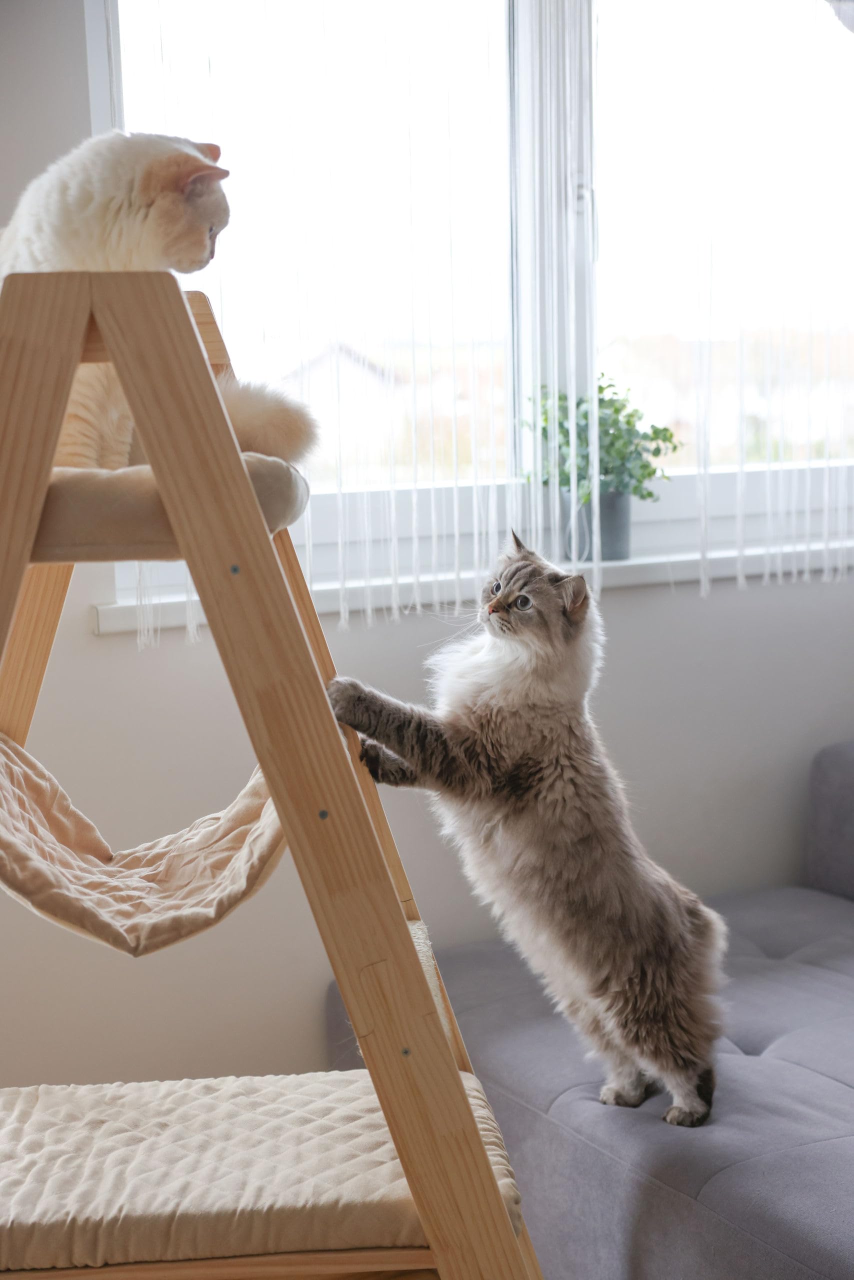 kerbl-pet-ladder-arbre-chat-bois-97-x-35-x-134-cm-naturel-beige-3-couchages image 6