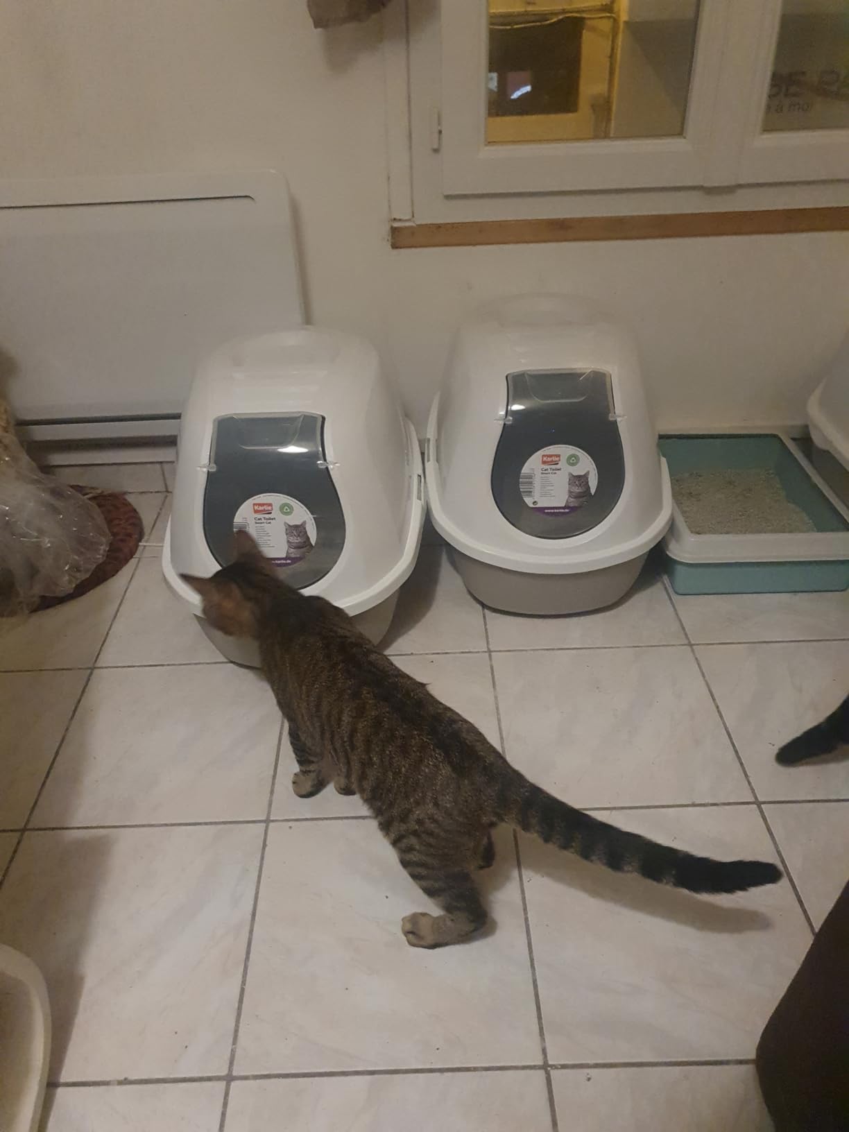 Parfaite pour minette