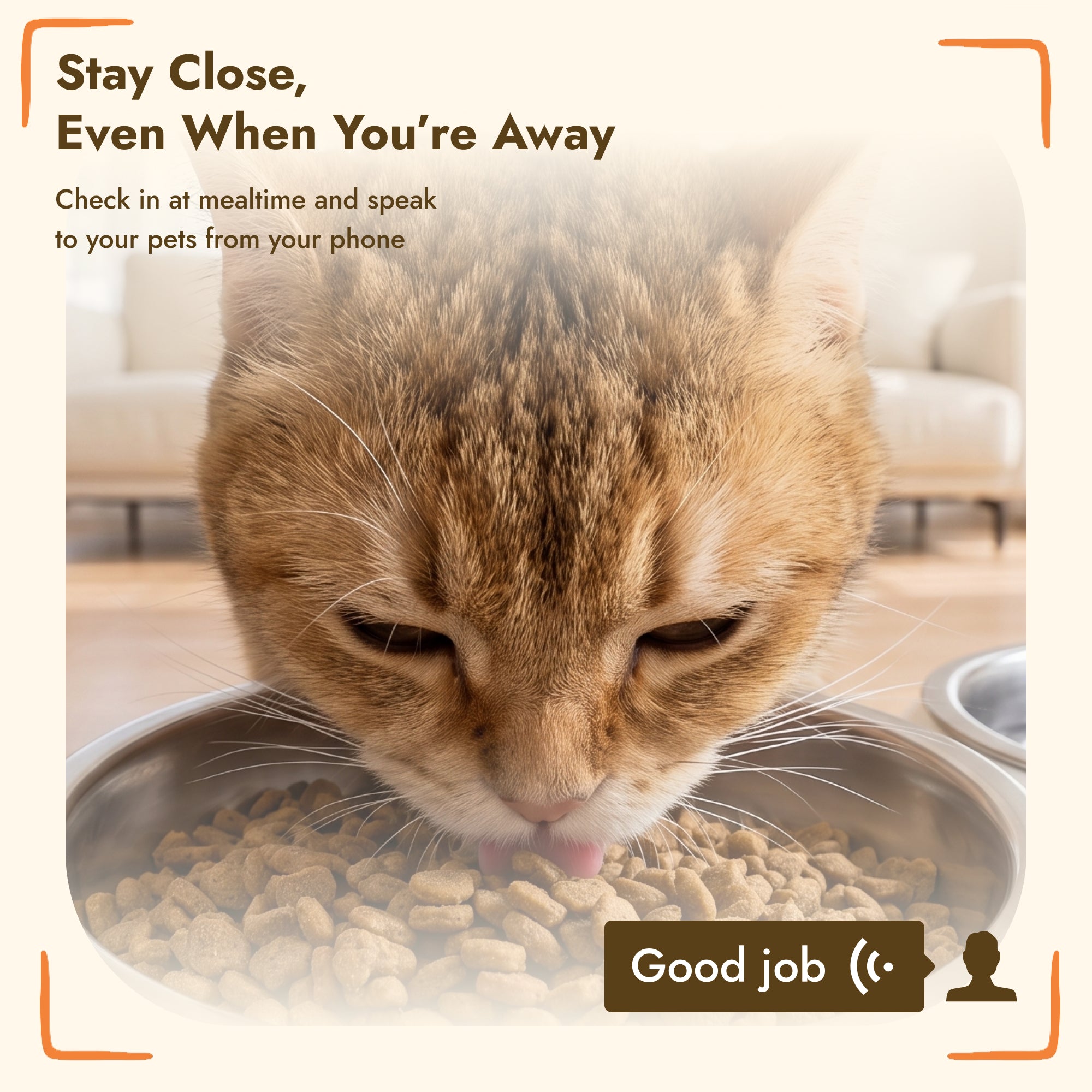 pawhut-distributeur-croquettes-chat-automatique-6l-avec-cam-ra-hd-wifi-2-4g-5g-e image 5
