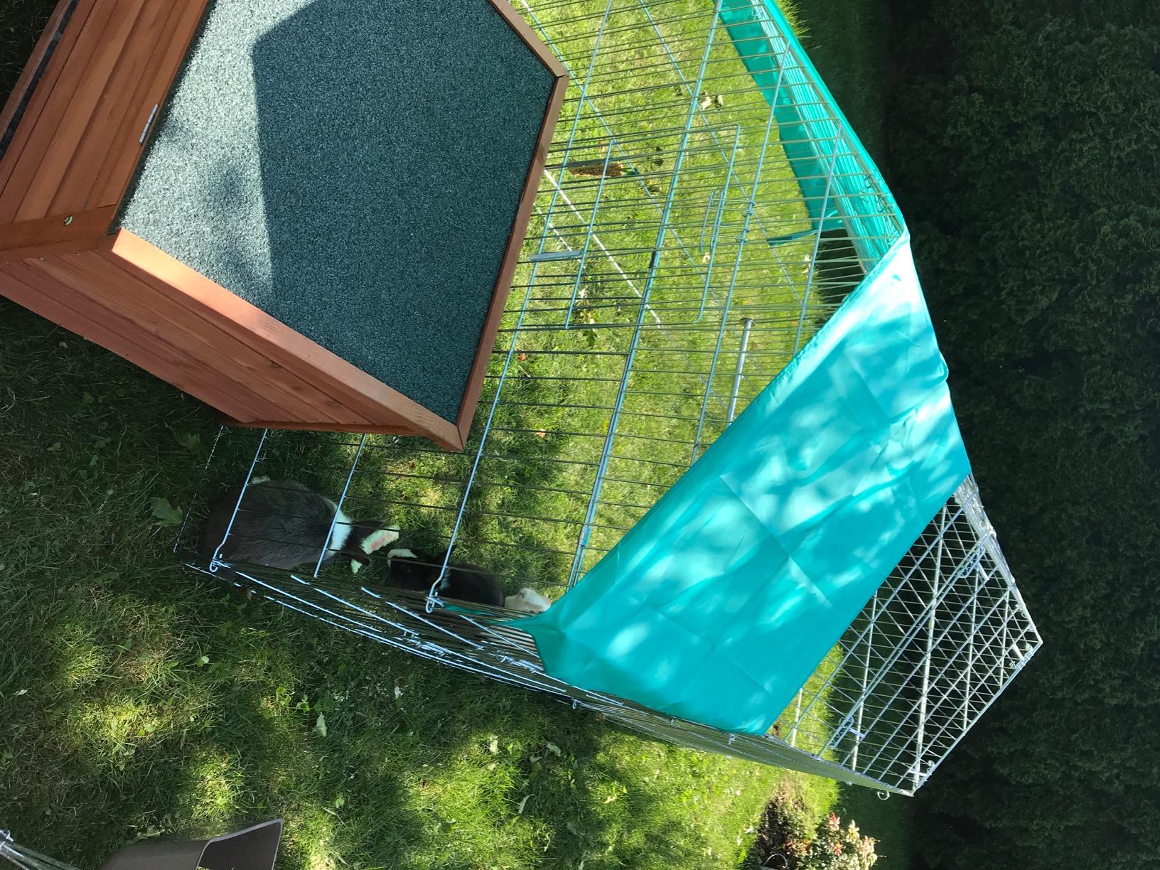 Parfait pour l'été