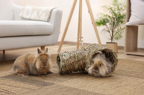 kerbl-pet-tube-d-herbe-en-2-parties-abri-pour-rongeurs-18x24-cm-24x30-cm image 6