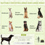 pawhut-tente-pop-up-de-camping-pour-grands-chiens-avec-sac-vert image 6