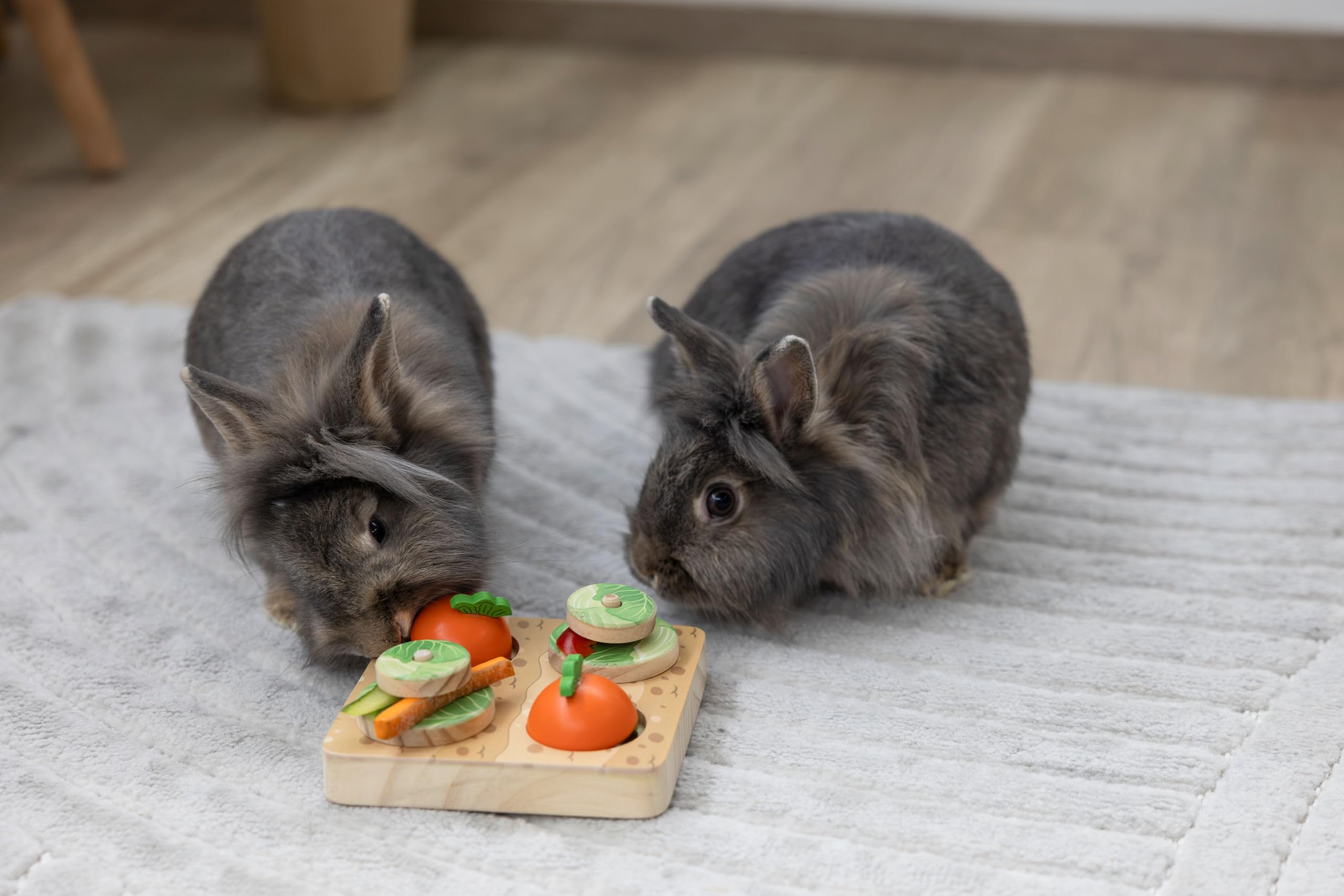 kerbl-pet-jouet-d-apprentissage-veggie-pour-lapin-15-x-15-x-6-cm-bois image 6