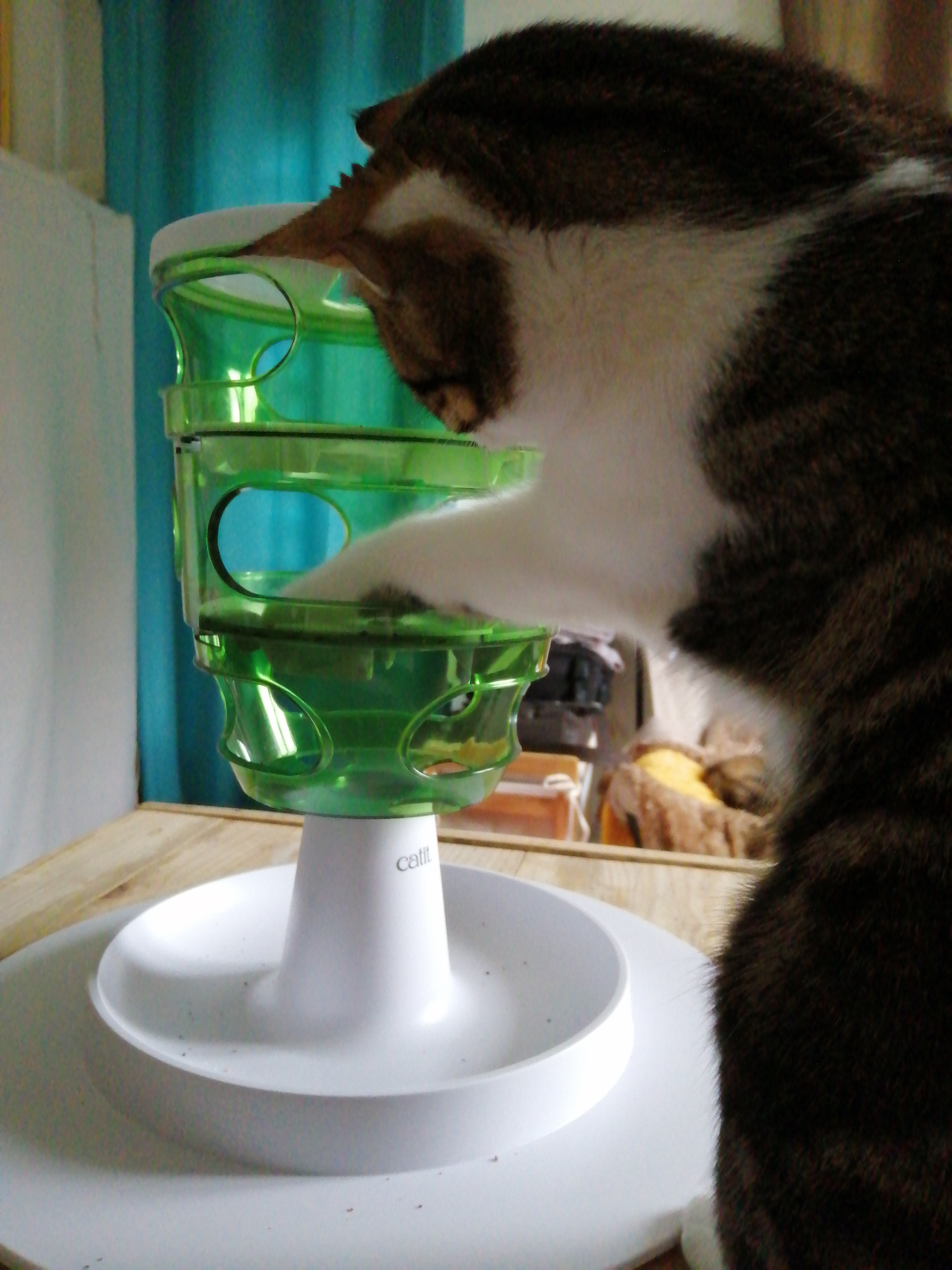 Stimulant et ludique