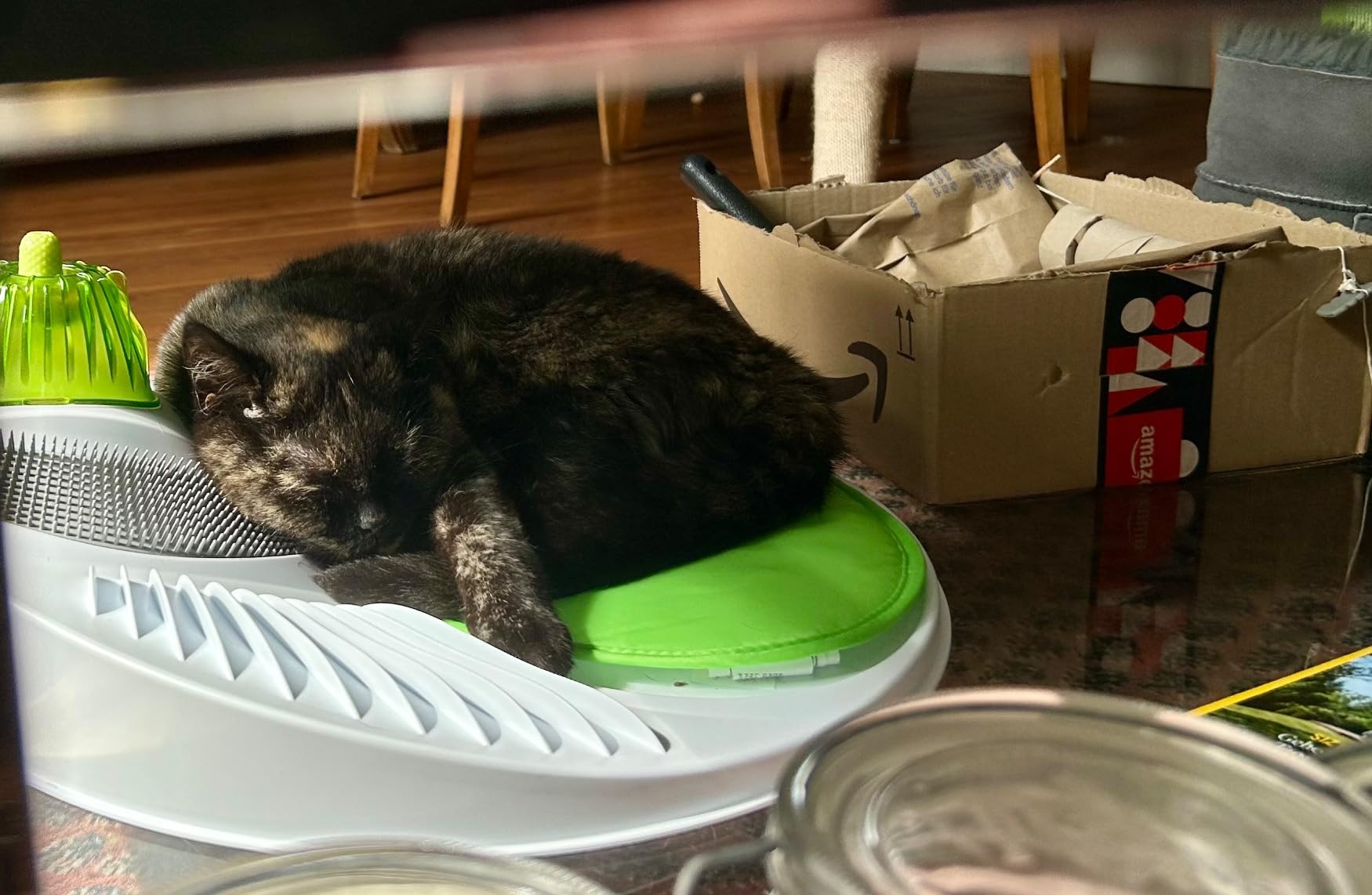 Toilettage au top