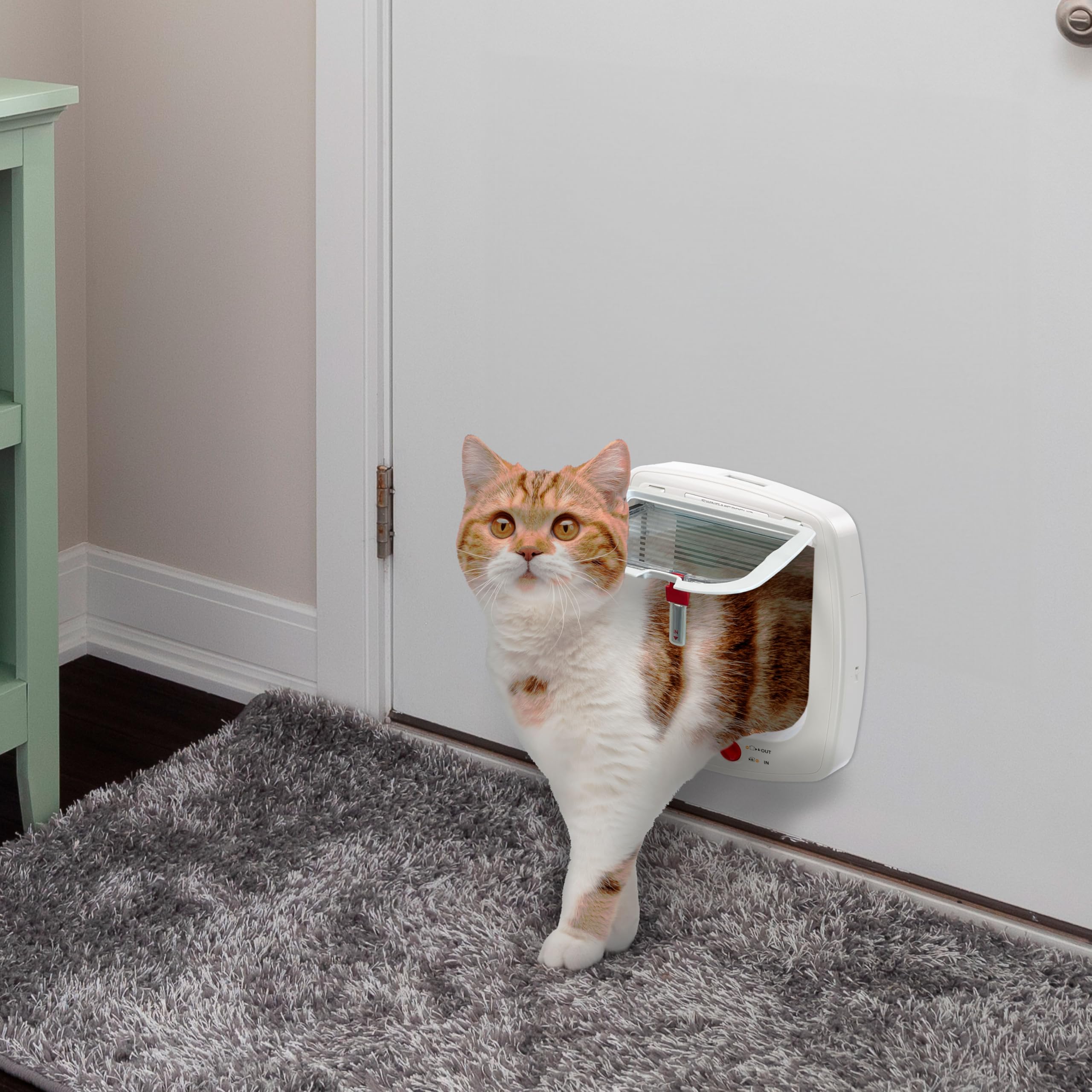 ferplast-swing-microchip-chati-re-puce-lectronique-4-voies-blanche image 4