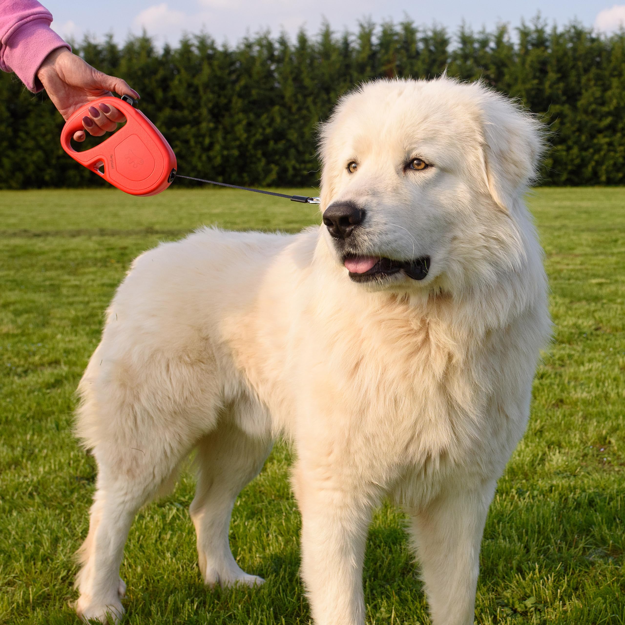 ferplast-flippy-one-laisse-enrouleur-sangle-5-m-pour-chiens-jusqu-50-kg-noir image 4