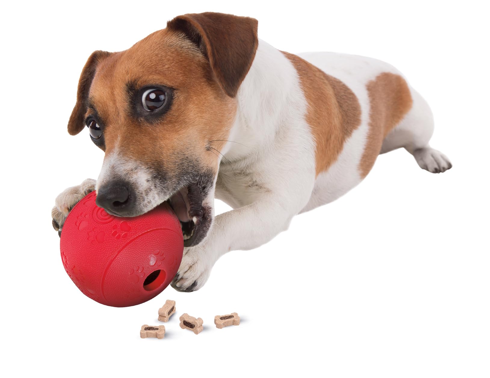 karlie-balle-ruffus-7-cm-jouet-pour-chien-distributeur-de-friandises-vanille image 2