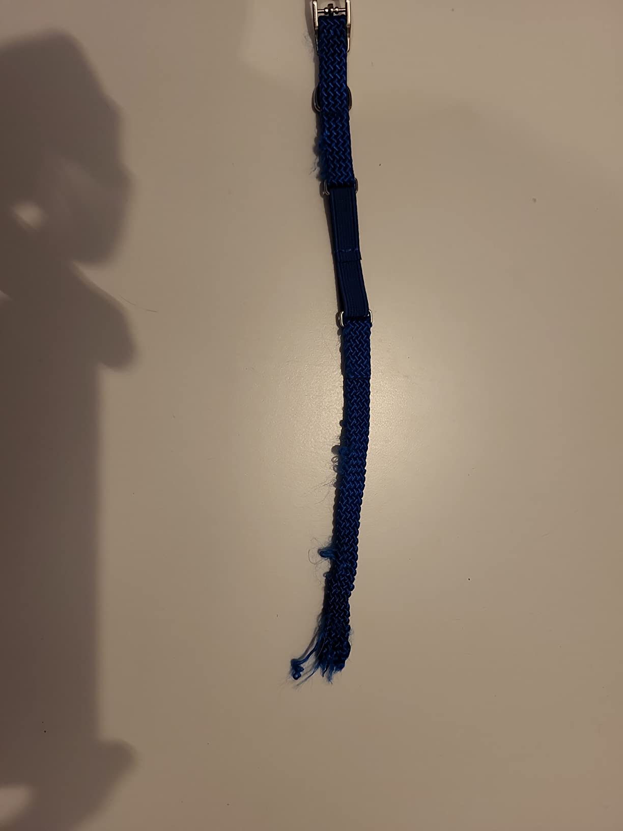 Très joli bleu