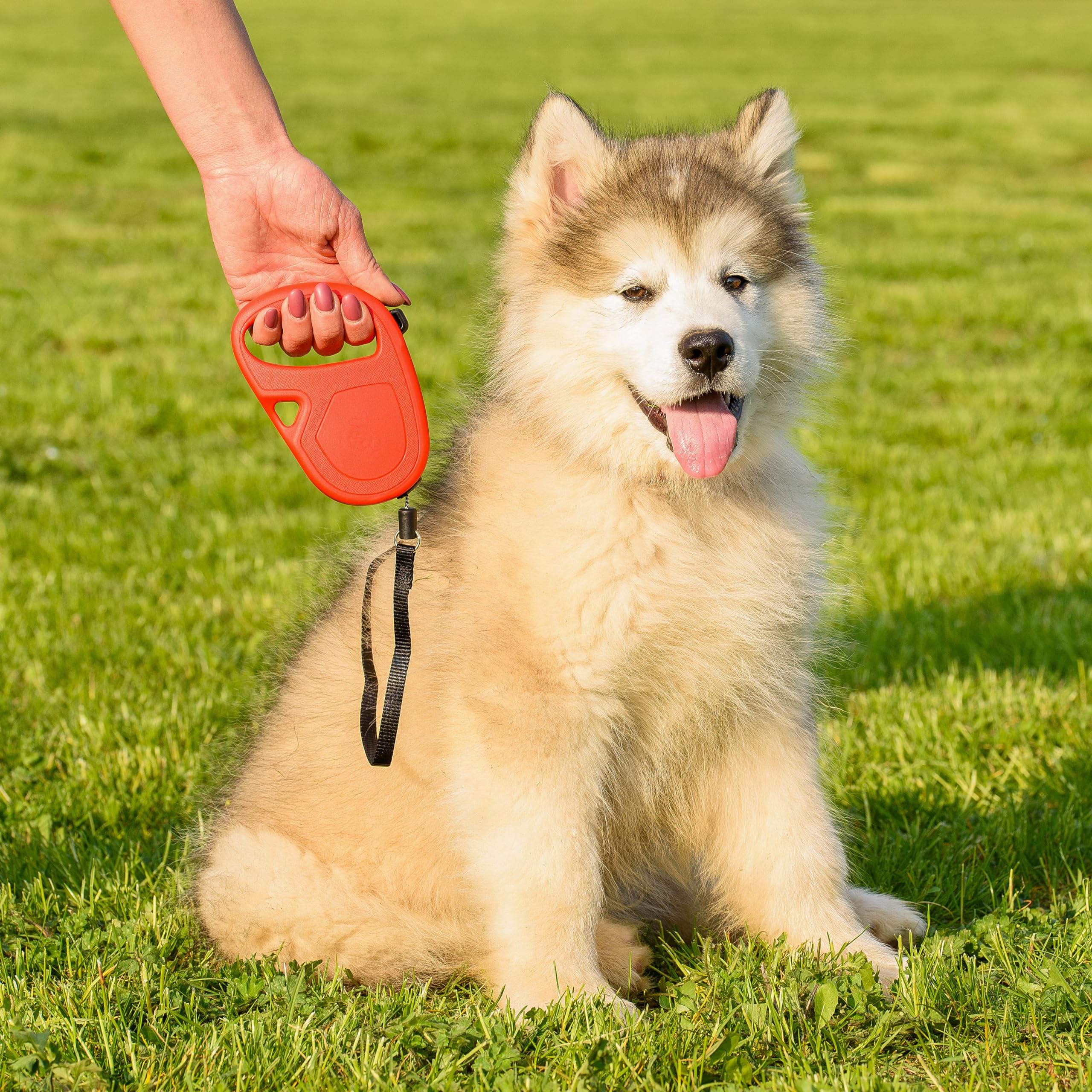 ferplast-flippy-one-laisse-enrouleur-chien-cordon-4-5-m-jusqu-12-kg-bleu-clair image 2