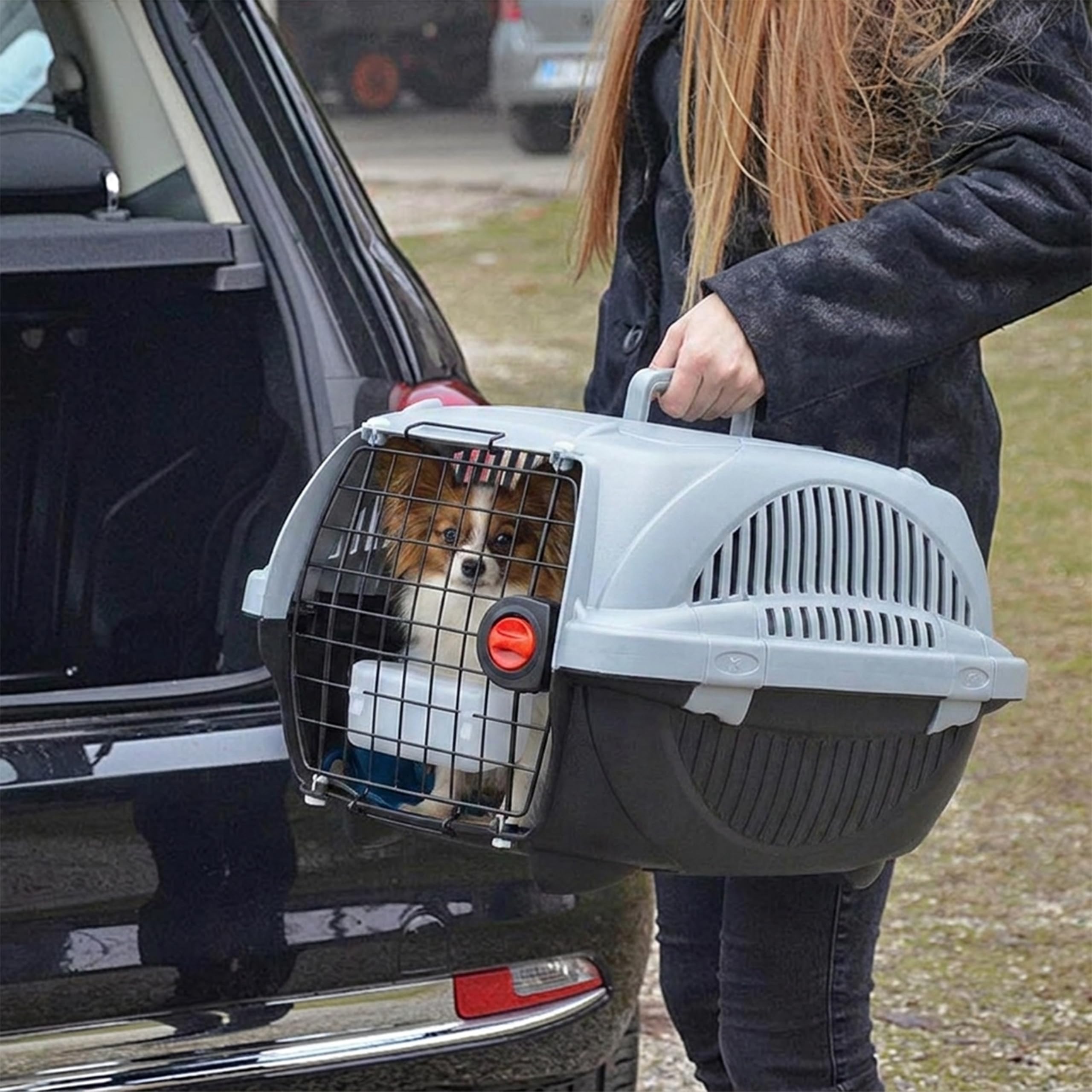 ferplast-atlas-deluxe-20-panier-de-transport-rigide-pour-chats-et-petits-chiens- image 2
