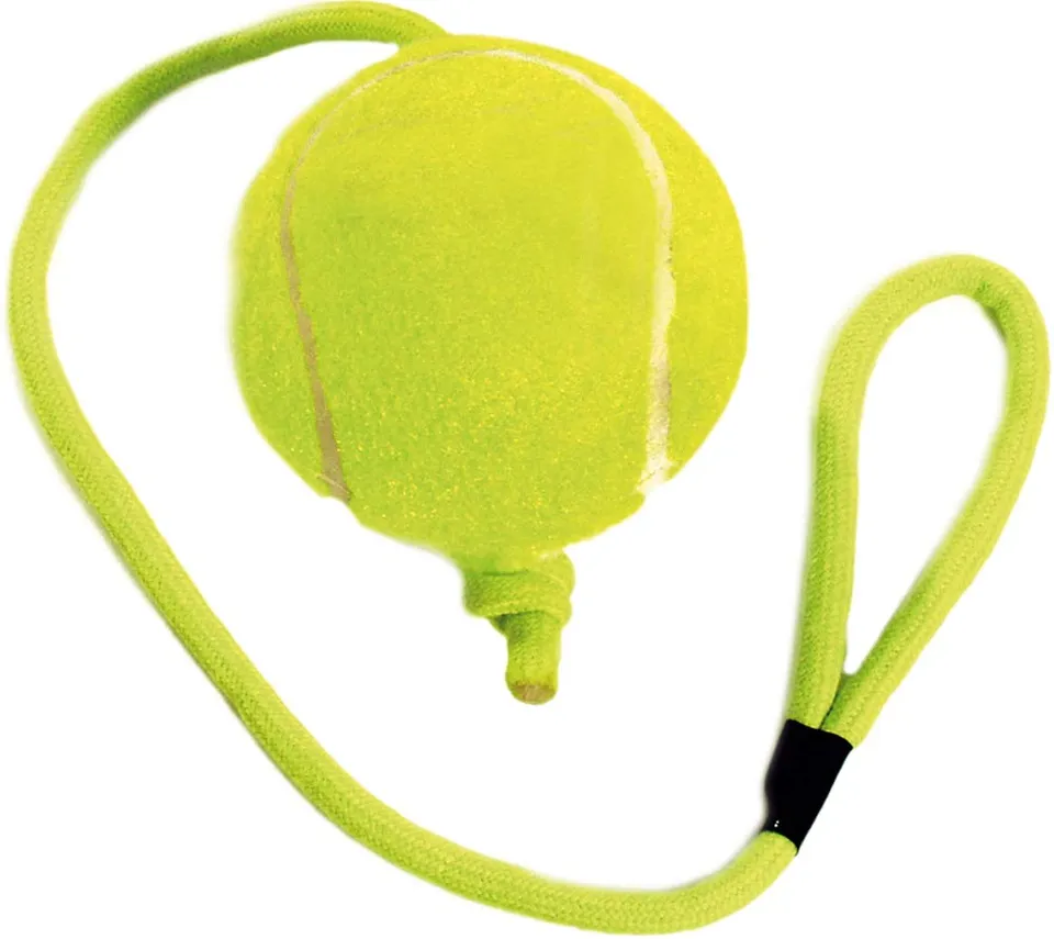 karlie-vadigran-panneau-pvc-rottweiler-blanc-plaque-d-co image 1