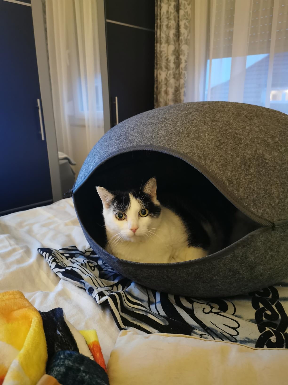 Adoptée immédiatement