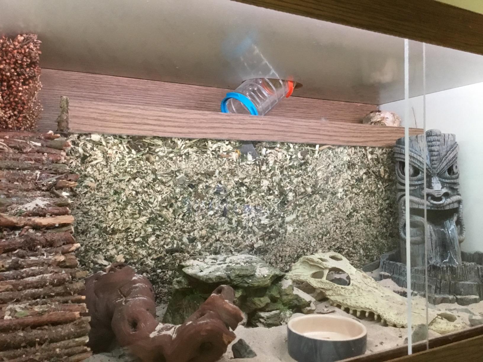Mon hamster adore