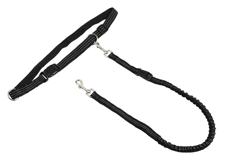kerbl-pet-laisse-de-jogging-avec-ceinture-r-glable-et-bandes-r-fl-chissantes image 1