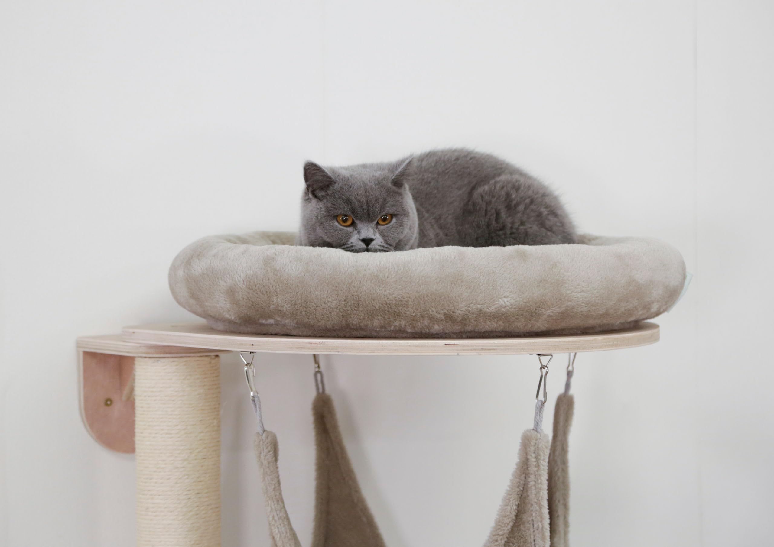 kerbl-pet-arbre-chat-dolomit-grappa-fixation-murale-taupe-80x66x158-cm image 3