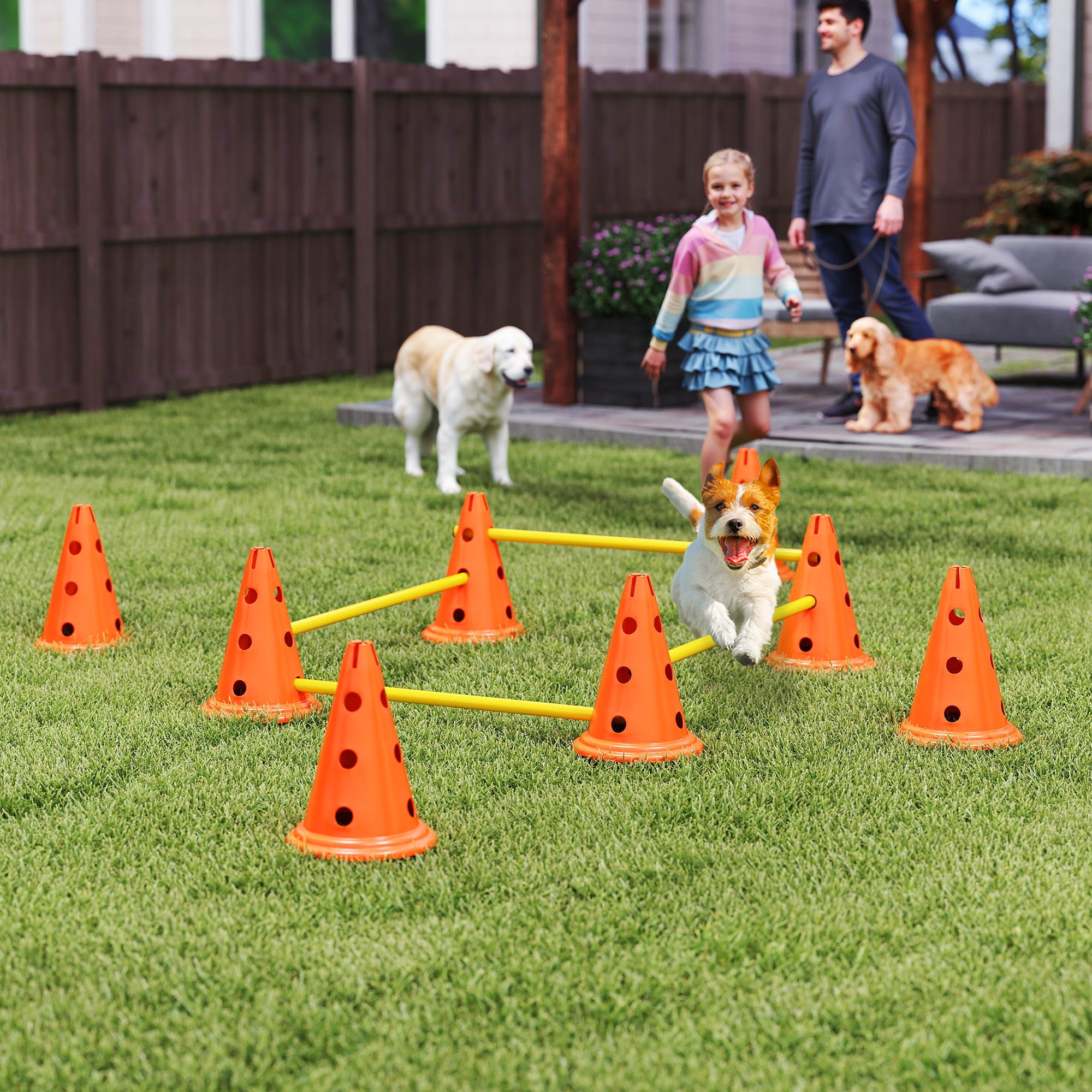 pawhut-kit-agility-chien-4-haies-r-glables-avec-sac-orange image 3
