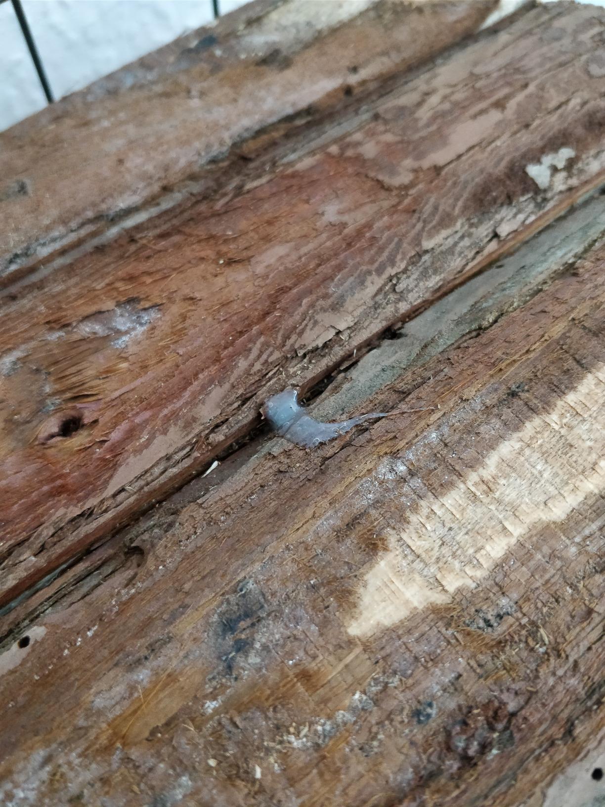 Plus de gaspillage