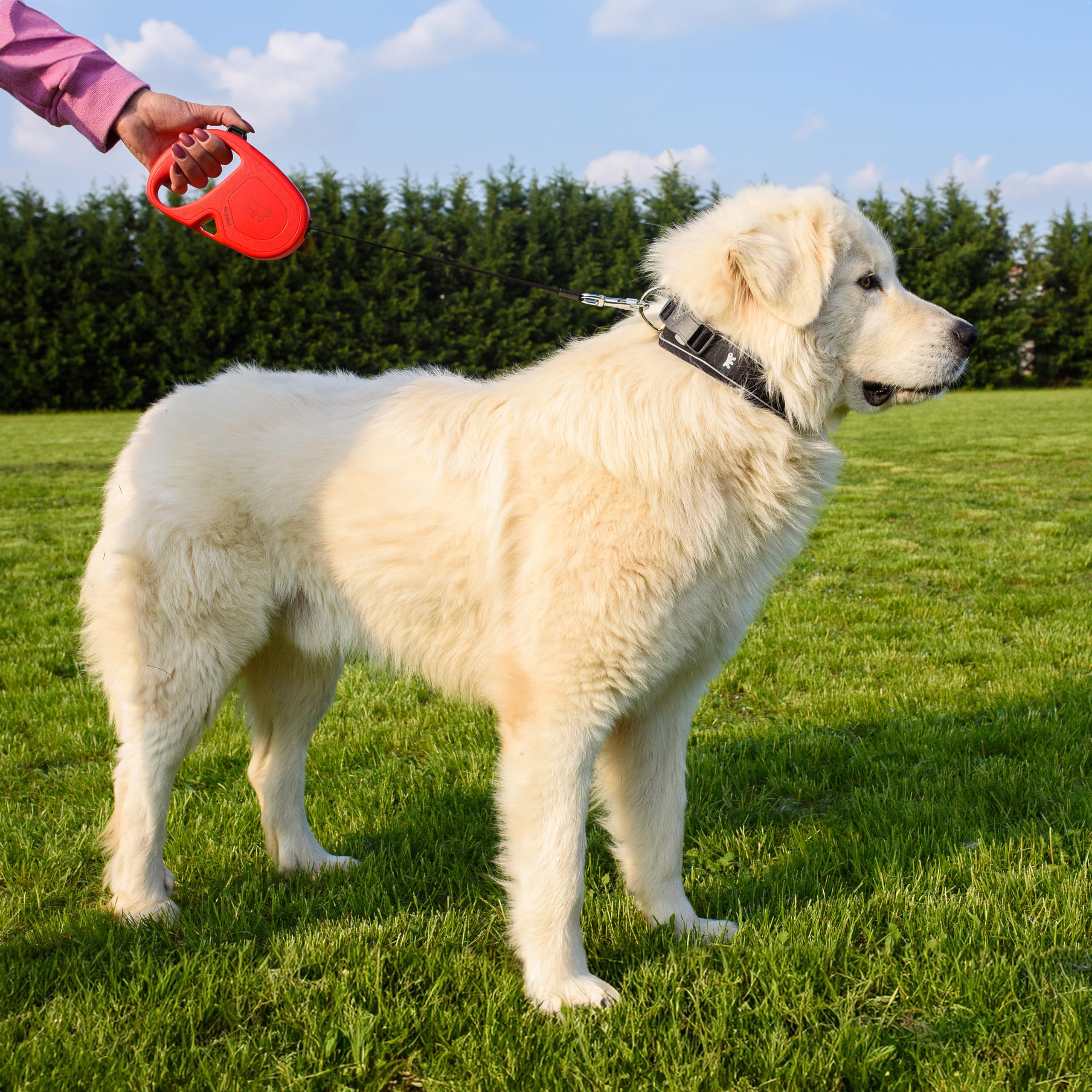 ferplast-flippy-one-laisse-enrouleur-sangle-5-m-pour-chiens-jusqu-50-kg-noir image 3