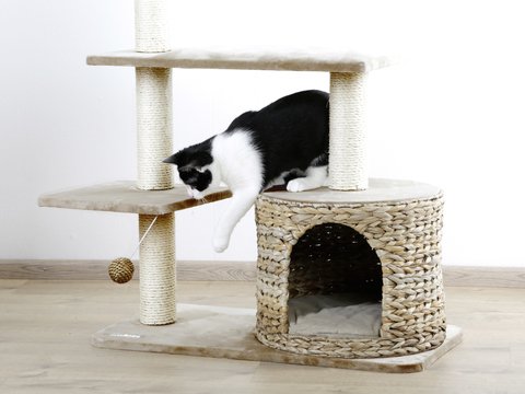 kerbl-pet-arbre-chat-banana-leaf-jade-beige-100-cm image 4