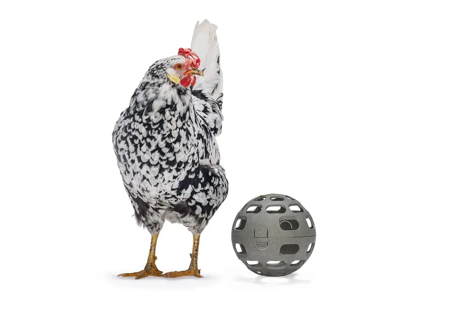 karlie-beeztees-balle-en-cas-poule-gris-15-x-15-x-15-cm-distributeur-fruits-et-l image 1