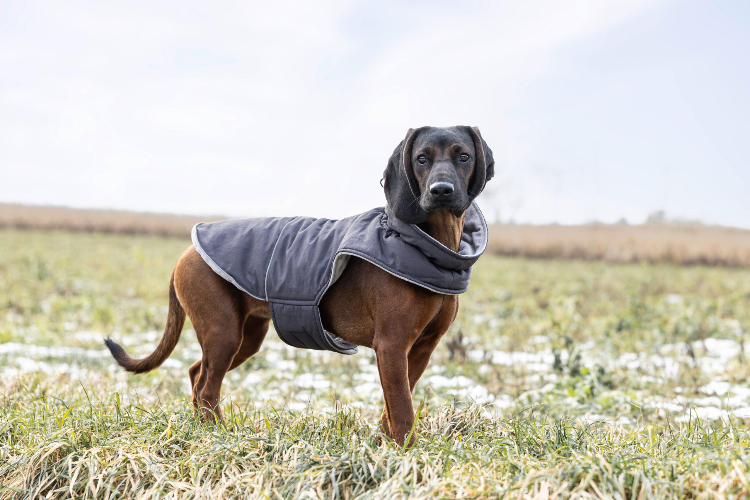 kerbl-pet-montr-al-manteau-imperm-able-pour-chien-taille-s-gris-35-cm-polyester image 6