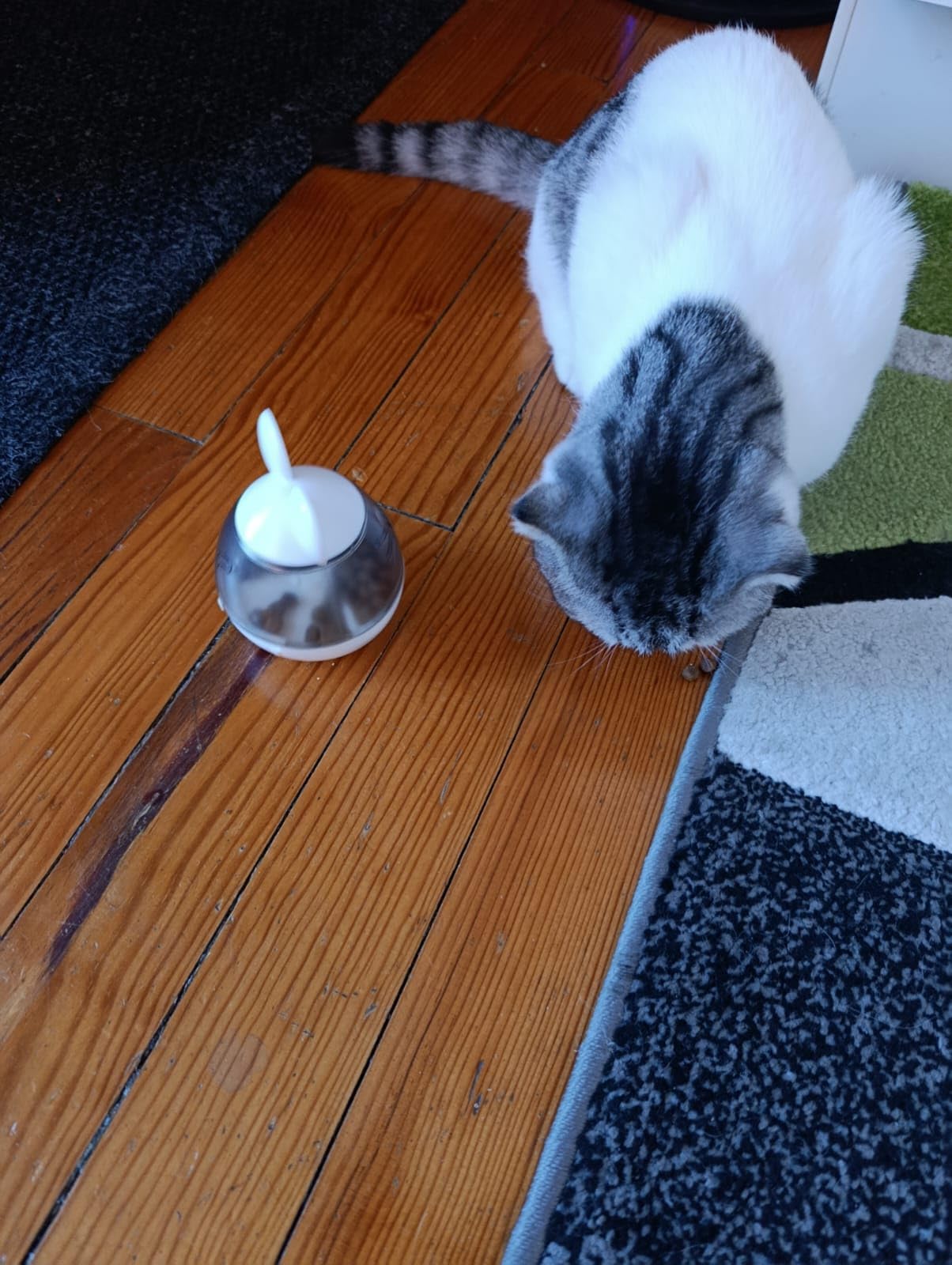 Petit, mignon et efficace