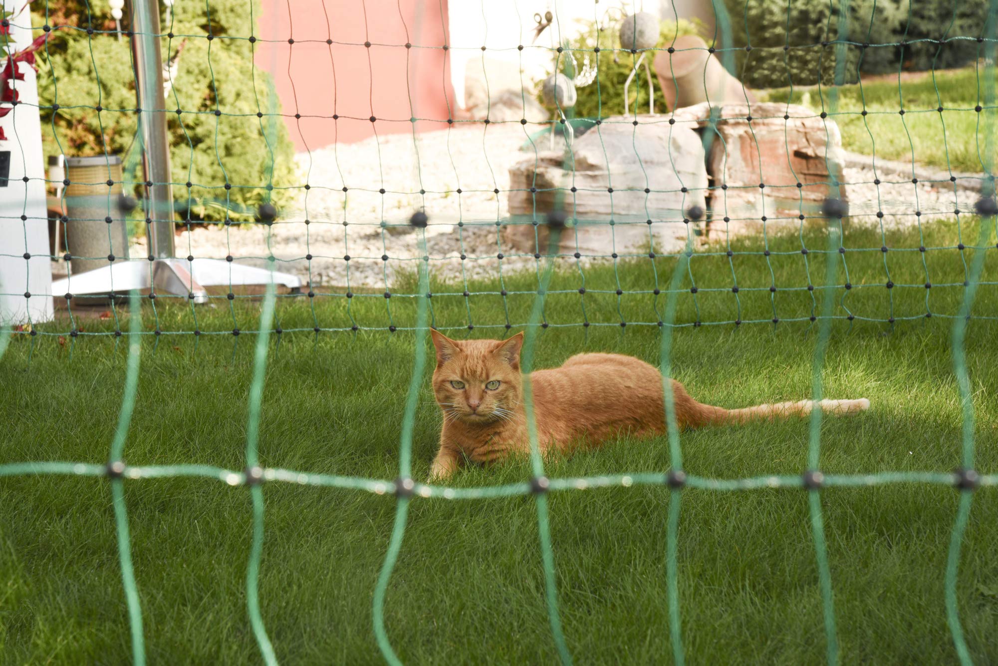 kerbl-filet-anti-chats-vert-25-m-x-77-cm-avec-9-piquets image 5
