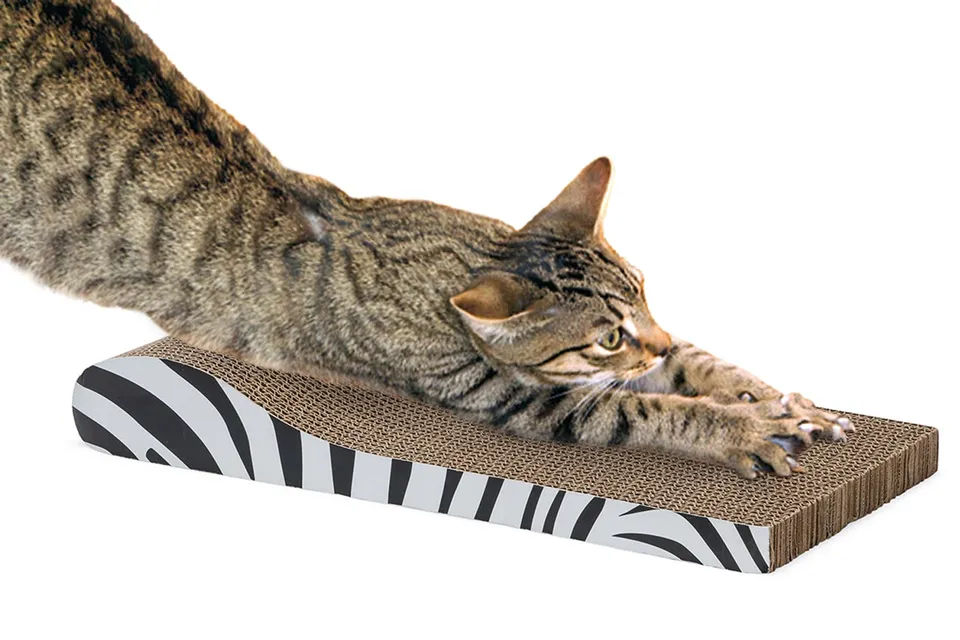 karlie-zebra-griffoir-carton-43-5-x-21-5-x-6-cm image 1