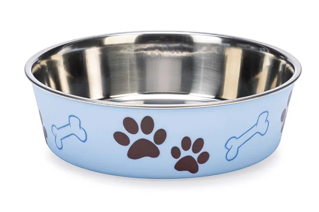 karlie-ascar-gamelle-chien-inox-bleu-clair-800-ml-15-17-cm image 1