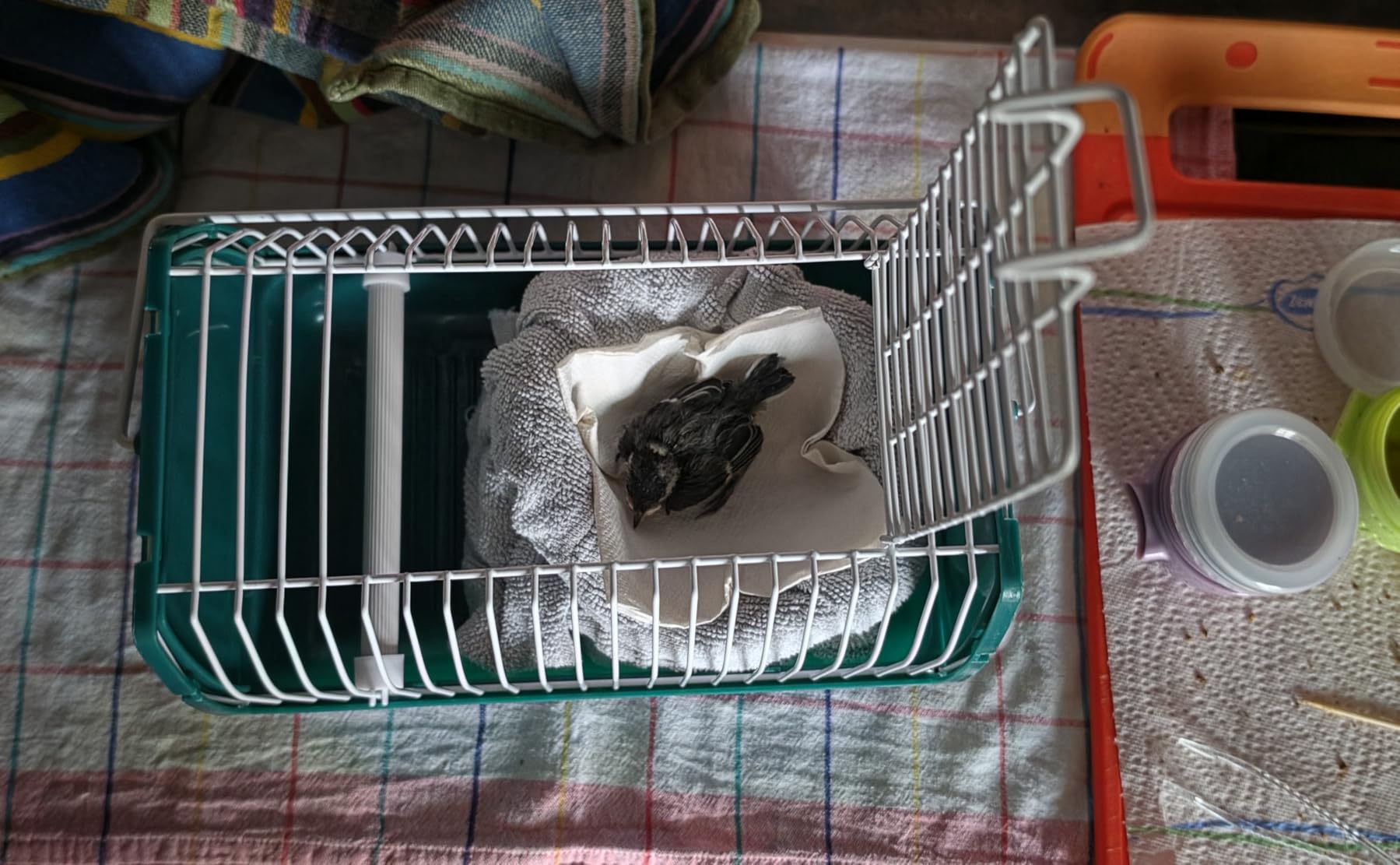 Pratique pour le véto