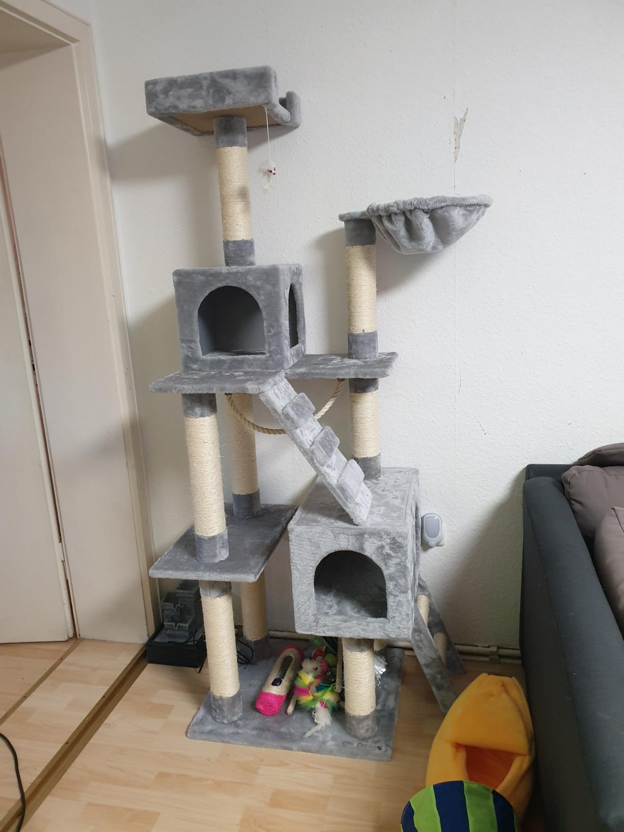 Mes deux chats l'adorent