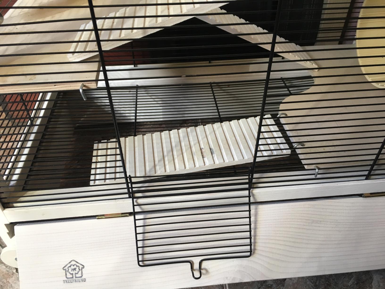 Bien pour hamster nain