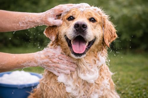 karlie-shampoing-de-base-pour-chien-hydratant-tous-types-de-pelage-300-ml image 6