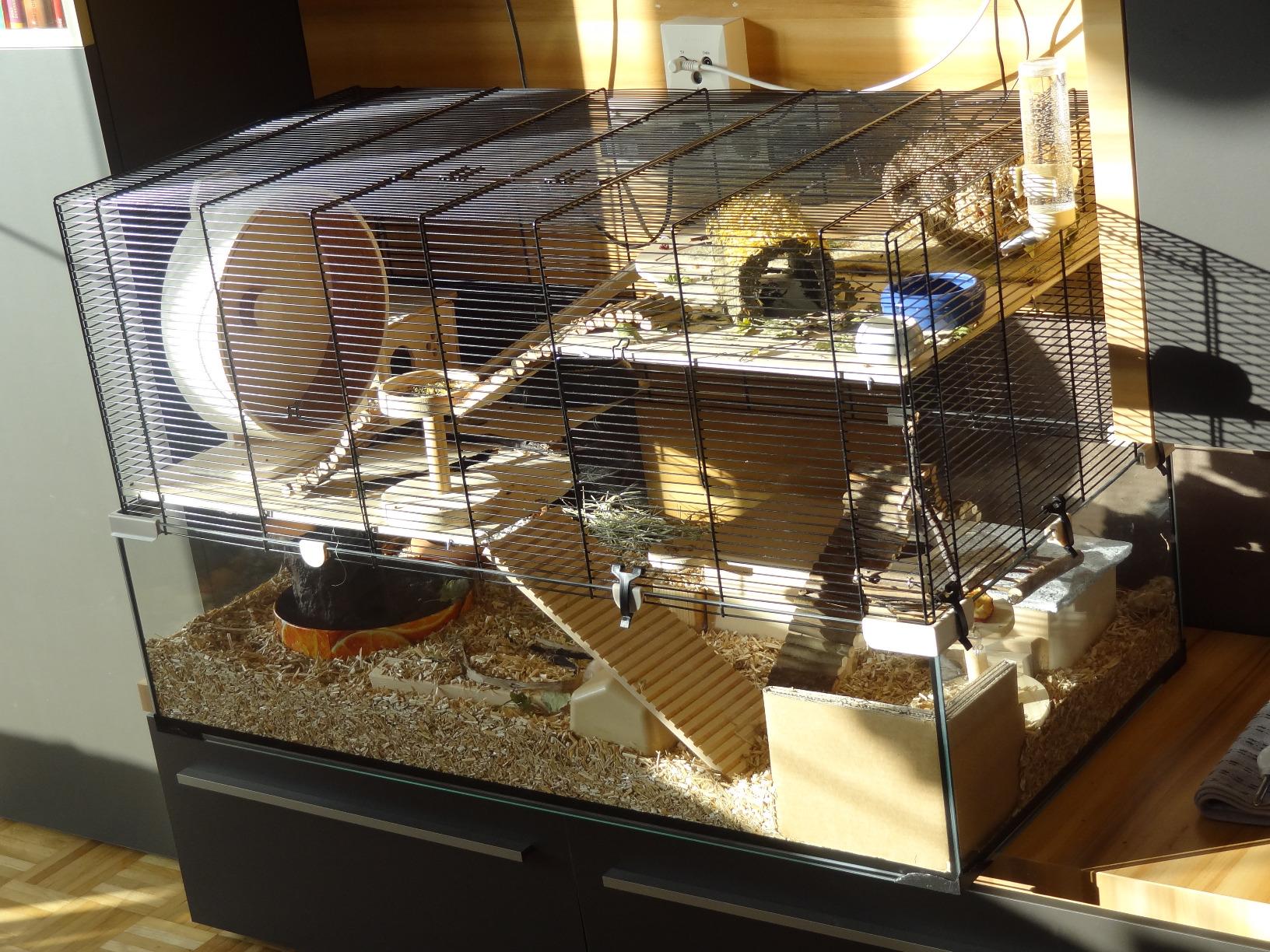 Bonne cage, accessoires moyens