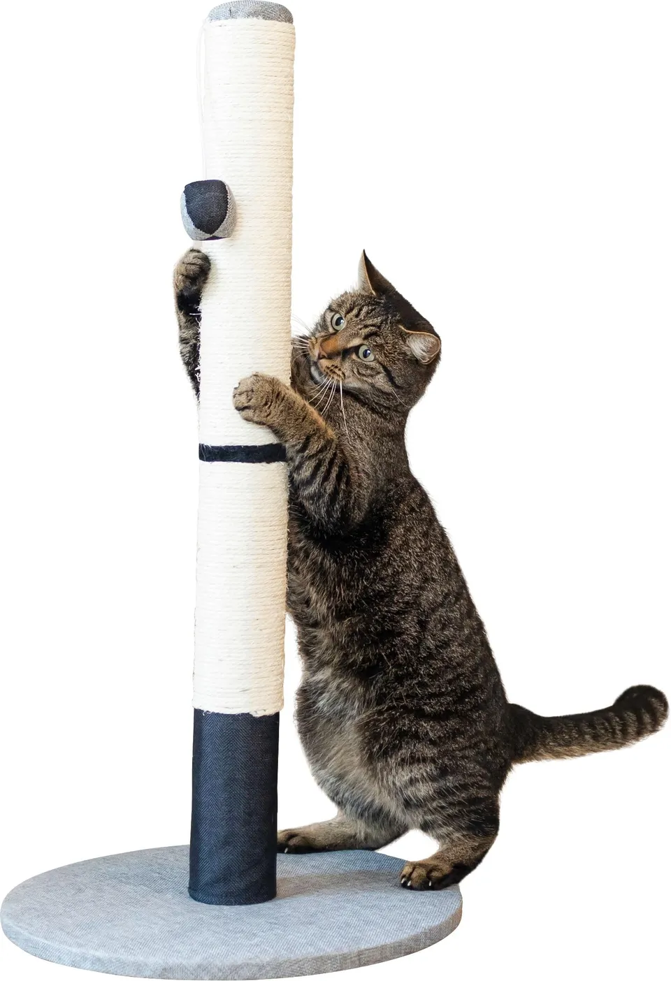 kerbl-pet-opal-pro-gris-noir-arbre-chat-40-x-40-x-80-cm-avec-balle-de-jeu image 1