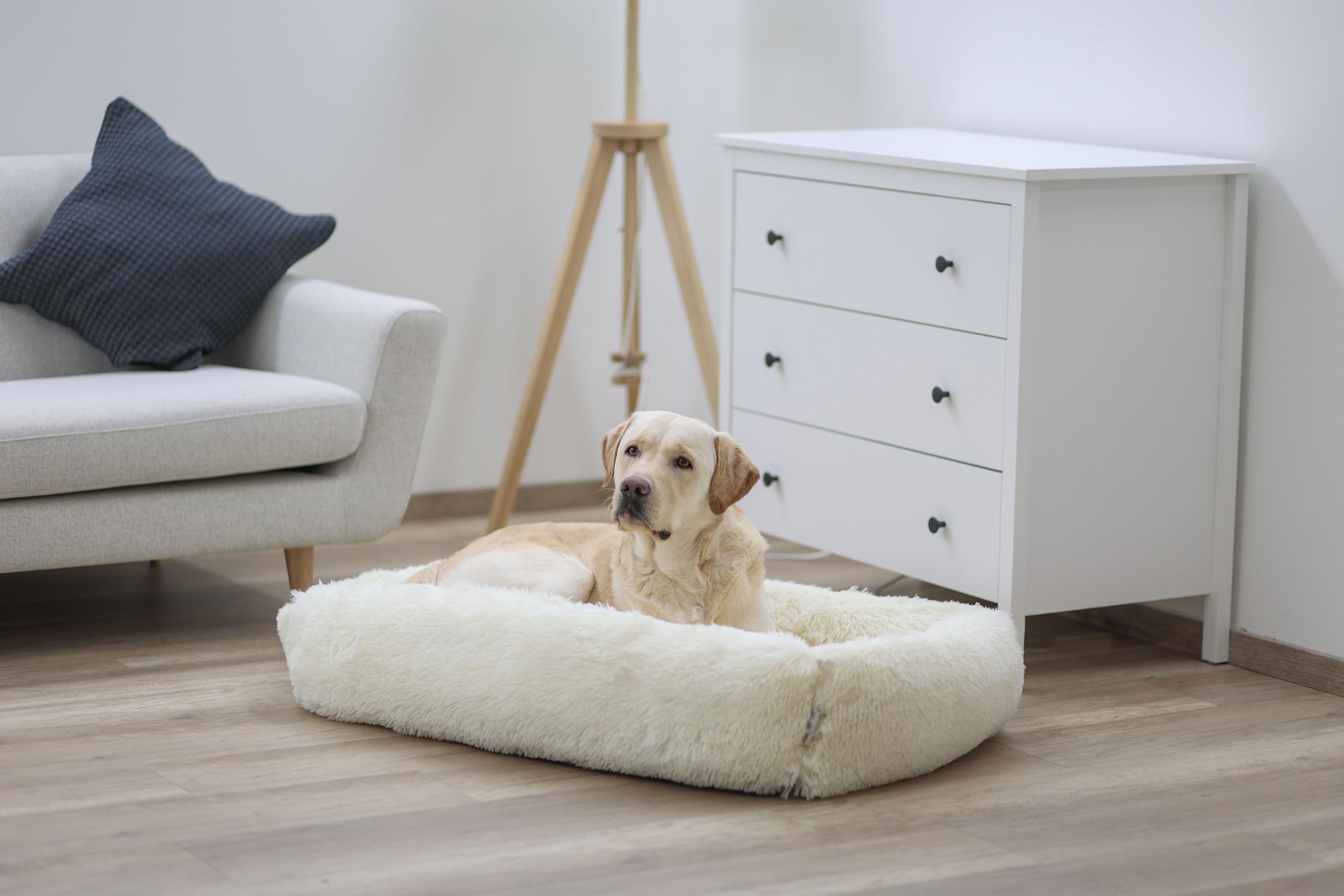 kerbl-pet-fluffy-lit-douillet-pour-chien-et-chat-cr-me-60-x-40-x-22-cm image 3