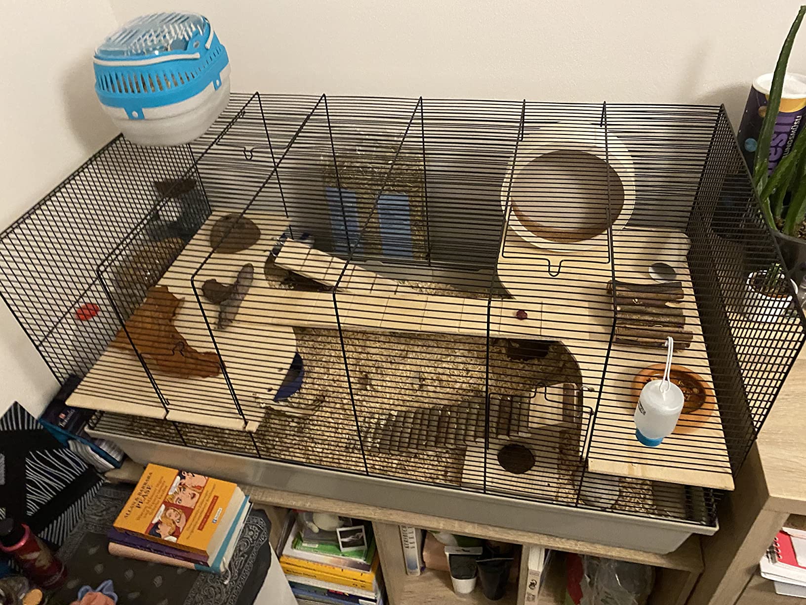 Bonne cage spacieuse