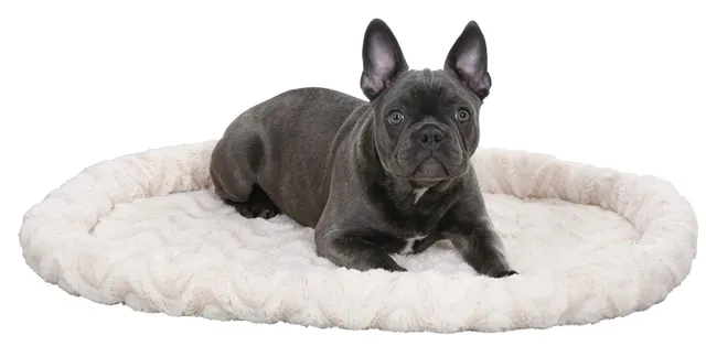 kerbl-corbeille-pour-chien-r-versible-beige-54-x-45-x-6-cm image 1