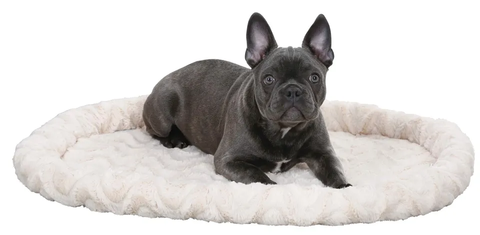 kerbl-corbeille-pour-chien-r-versible-beige-54-x-45-x-6-cm image 1