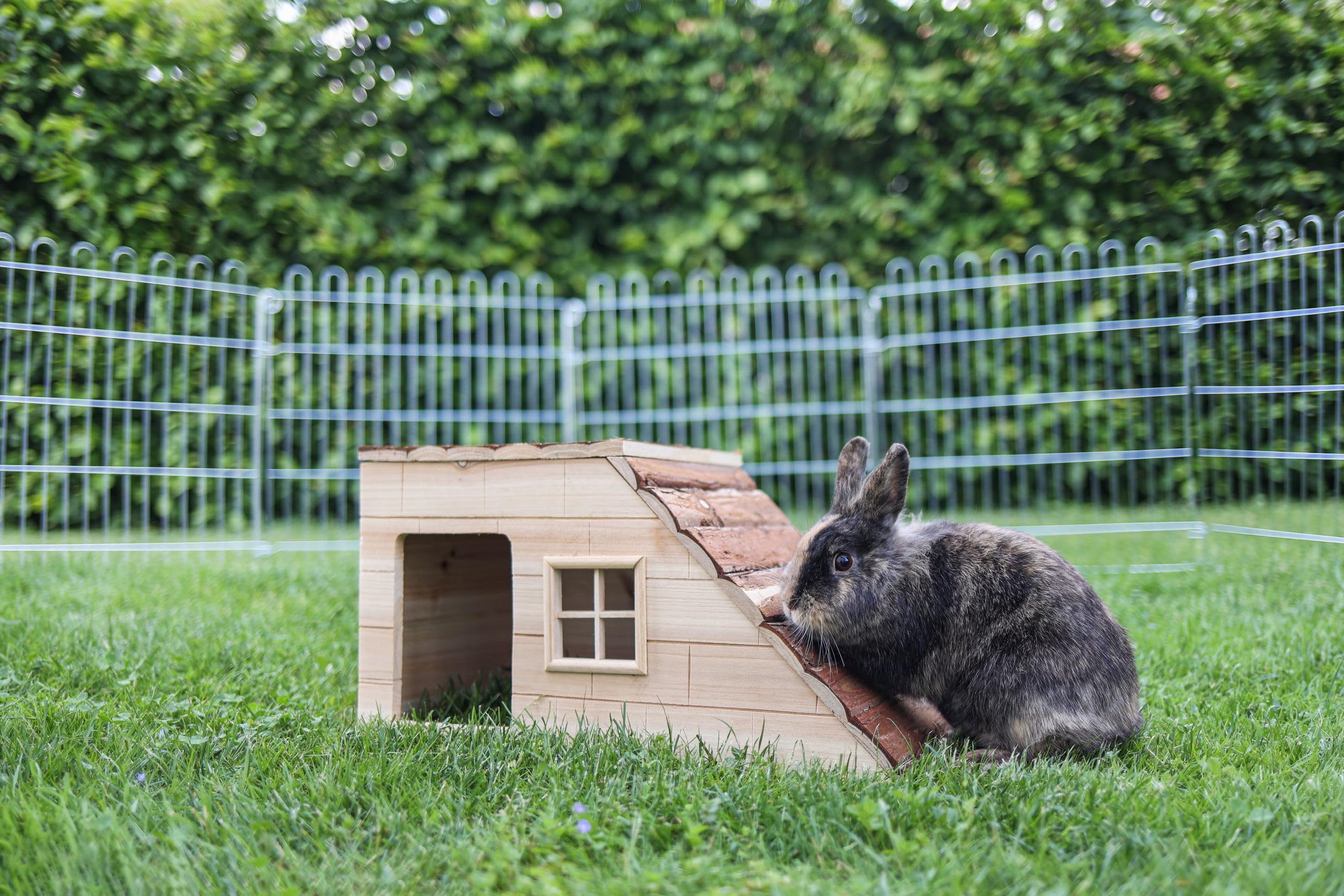 kerbl-maison-rongeurs-nature-avec-rampe-50x25x25-cm-abri-bois-lapin image 5