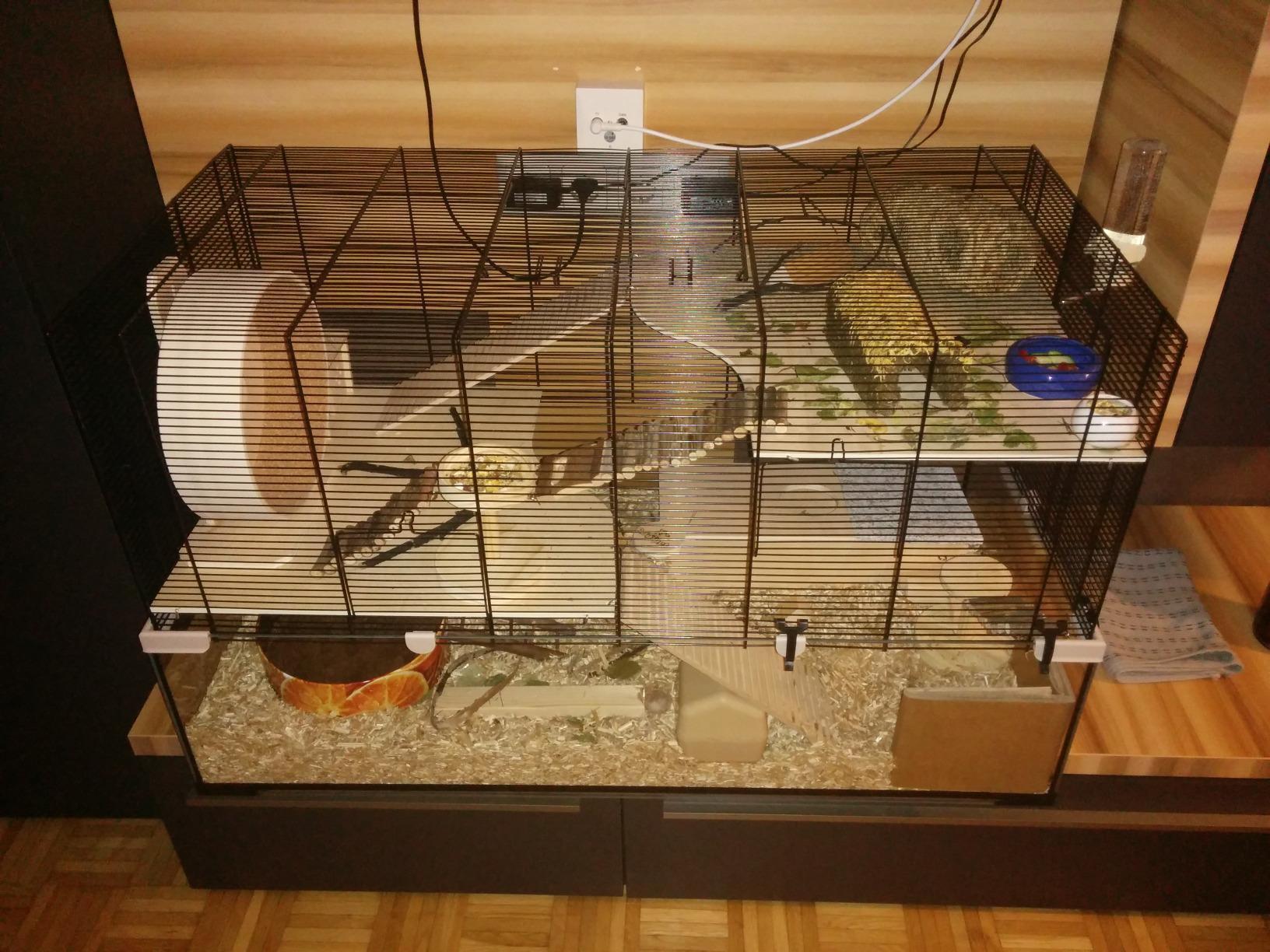 Bel habitat spacieux