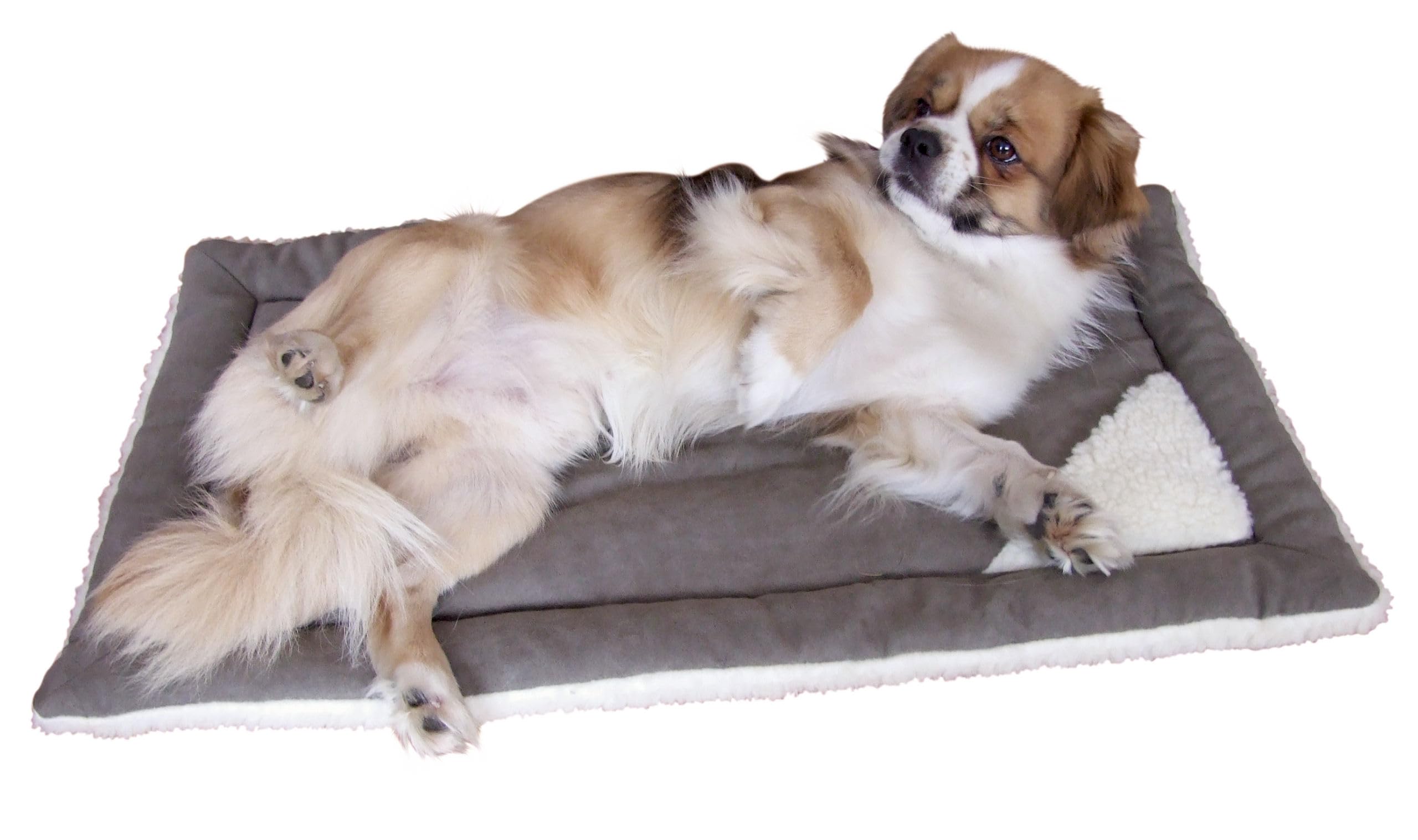 kerbl-82424-coussin-liti-re-pour-animaux-58x36-cm-gris image 5
