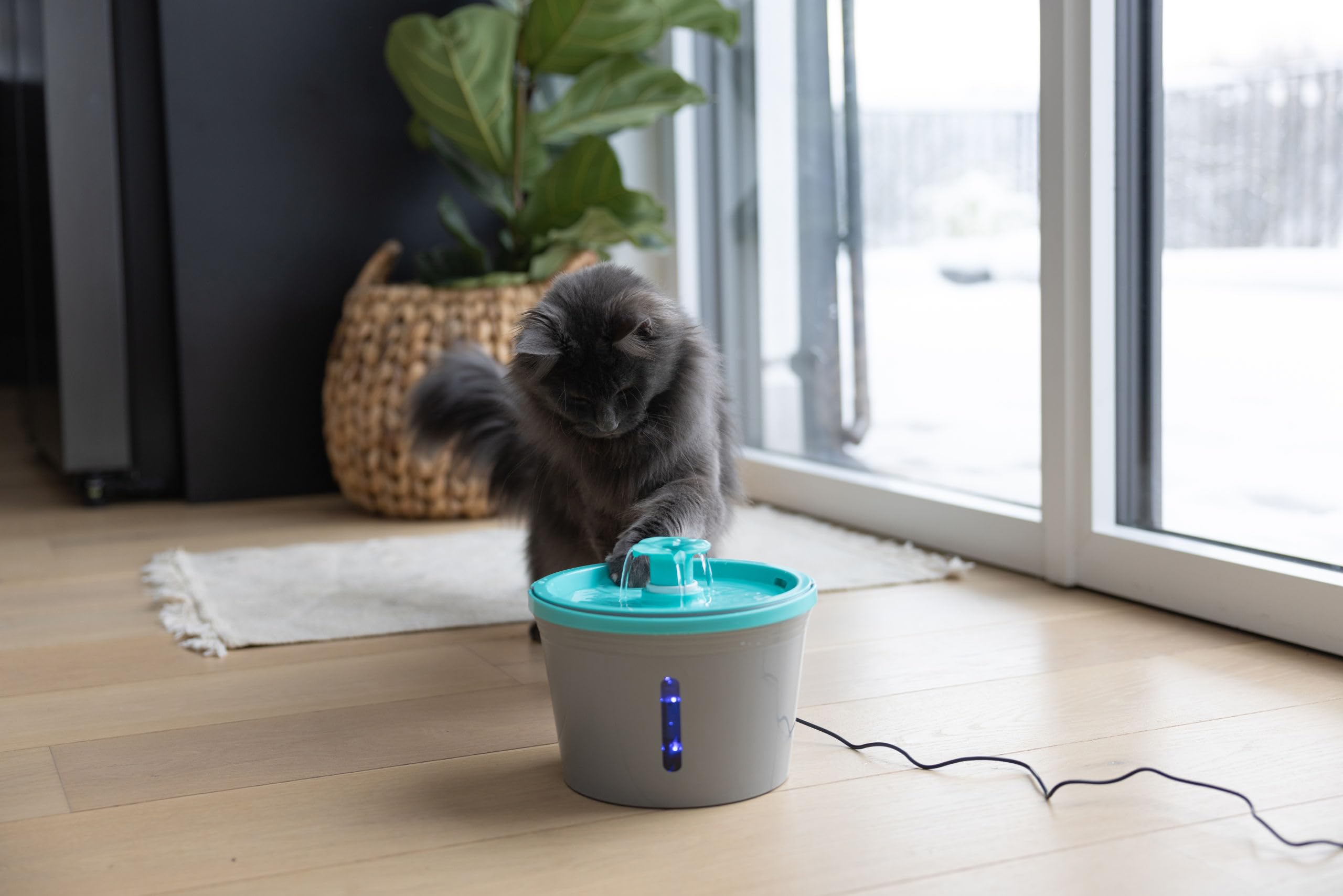 kerbl-pet-fontaine-eau-1-6-l-gris-bleu-usb-avec-filtre-charbon image 4