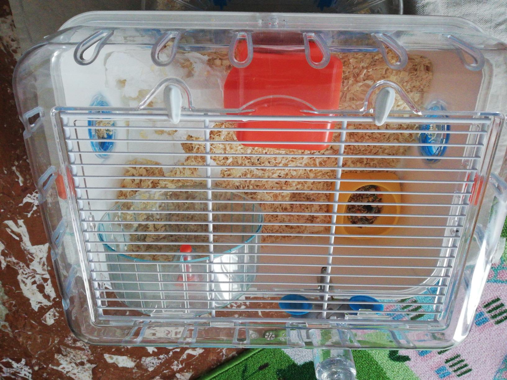 Bien mais roue un peu bruyante